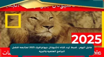 عاجل اليوم.. ضبط تردد قناة ناشيونال جيوغرافيك 2025 لمتابعة أفضل البرامج العلمية والبرية